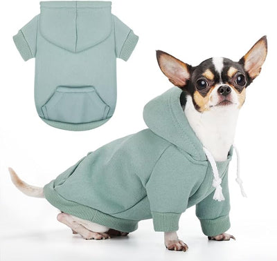 Paiaite Small Dog Hoodie Sweater: Winter Sweatshirt Pet Coat with Pockets, Hat & Leash Hole for Puppy Doggie Chihuahua, Small-Medium Dogs (Boy & Girl) – All Weather Wear Cyan 2XL
