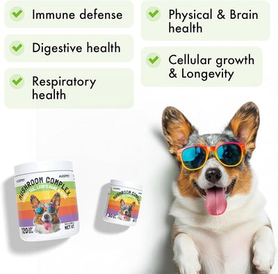 Mushroom Complex Treats for Dogs with Reishi, Shiitake, and Turkey Tail Mushrooms for Cognition and Immune Boosting Supports Digestive Health and Reduces Inflammation DHA EPA Turmeric Kelp 30 Chews