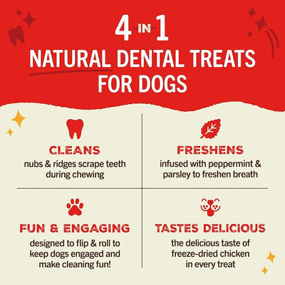 Stella & Chewy's Dental Delights with Freeze-Dried Chicken - Large Dental Treats for Dogs, 23.2 Ounce Bag
