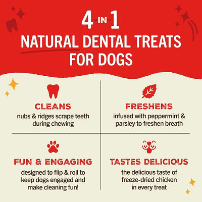 Stella & Chewy's Dental Delights - Freeze-Dried Raw Chicken Dental Treats for Small Dogs - Teeth Cleaning & Breath Freshening Chews with Ridges & Nubs - Made in USA - 5.5 oz - 11 Small Treats