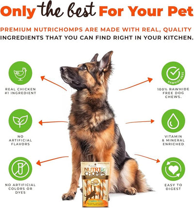 NutriChomps Dog Chews 5-inch Twists, Easy to Digest, Rawhide-Free Dog Treats, 10 Count, Real Peanut Butter flavor (Packaging May Vary)