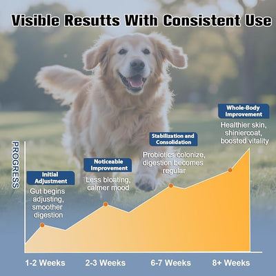 Probiotics for Dogs Digestive Health, Natural Probiotic Supplement with Digestive Enzymes and Prebiotic, Probiotic Chews for Dogs Support Gut Health, Relieve Diarrhea, Enhance Immunity