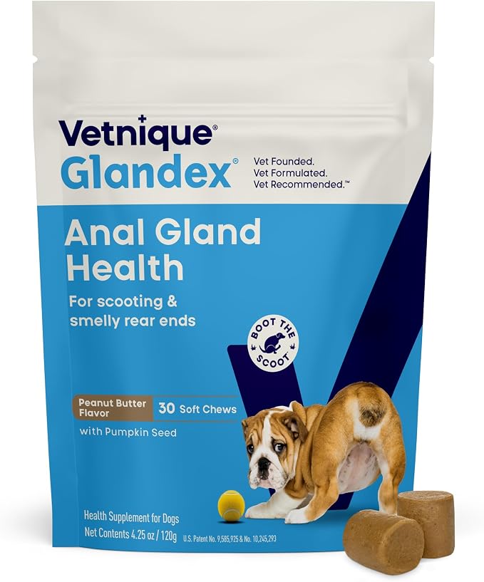 Glandex Anal Gland Soft Chew Treats with Pumpkin for Dogs Digestive Enzymes, Probiotics Fiber Supplement for Dogs Boot the Scoot (30ct, Peanut Butter Chews)