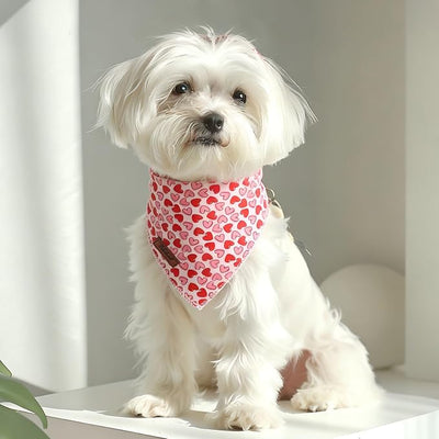 Valentines Dog Bandana - Cute Heart Dog Neck Scarf, Soft Pet Bib for Puppy Kitten, Valentine Photo Dogs Cats Prop for Daily Use Parties & Pet Photography S