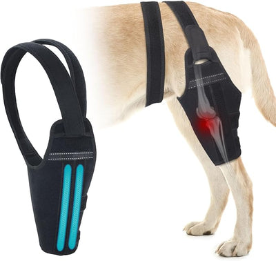 Dog Knee Brace for Torn ACL Hind Leg – Support Dog Leg Brace for Back Leg with 2 Stabilizers, Adjustable Hip Support to Reduces Pain Luxating Patella, Ligament Injuries, CCL (Right Leg, M)