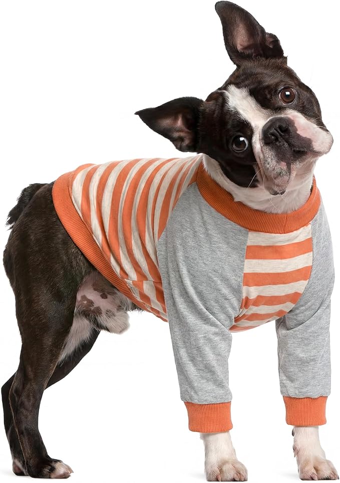 Dog Recovery Sleeve with Elbow Protector,Dogs Shirt Stop Licking Joints,Pet Long Sleeve Suit Protecting Dog's Front Leg Arm Wounds Cover Skin Conditions Orange Stripes S