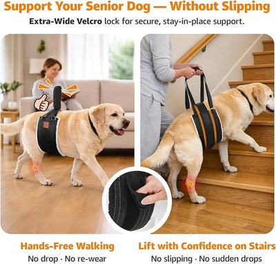 LOOBANI Dog Lift Harness for Back Legs, Portable Dog Sling for Large Dogs Hind Leg Support, Comfortable Leg Support Assistance for Elderly Dogs with Hip, ACL Brace, Senior, Injured