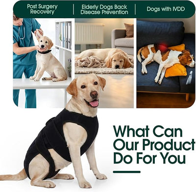 Dog Back Brace for IVDD Recovery, Adjustable Dog Spine Support Harness for Dachshund Corgi French Bulldog Pug, Pain Relief Back Protector for Senior,Post‑Surgery,Long‑Bodied & Overweight Dogs, S