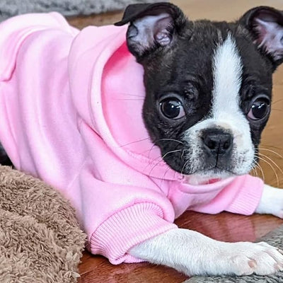 Jecikelon Soft Dog Hoodies for Small Dogs, Fleece Puppy Sweatshirt with Pockets, Warm Winter Cold Weather Coats for Pet Cat, Cute Clothes Puppy Costume (Pink, Large)