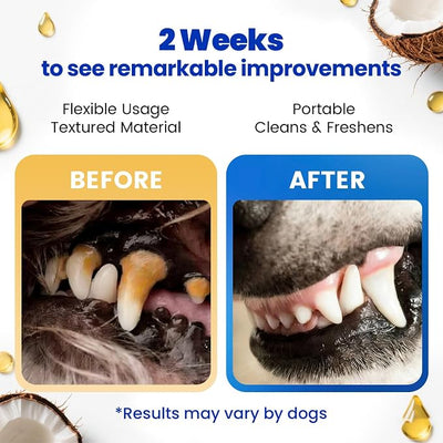 Dog & Cat Tooth Brushing kit - 60Ct Dog Toothbrush & Toothpaste Alternatives, Dental Care Wipes, Heavy Duty Teeth Cleaning, Remove Tartar & Plaque, Breath Freshener(Coconut)
