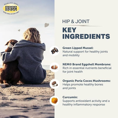 Hip & Joint - Joint Supplement for Dogs with Green Lipped Mussel, Eggshell Membrane and Curcumin - Veterinarian Formulated - 60 Day Large Dog Supply