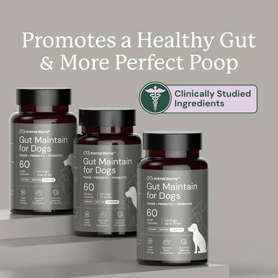 Animal Biome Probiotics for Dogs with S Boulardii, Gut Maintain (30 Capsules) – Triple-Action Large Dog Probiotics, Prebiotics & Phage Supplements for Gut Health, Firmer Stool & Diarrhea Support