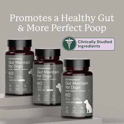 Animal Biome Probiotics for Dogs with S Boulardii, Gut Maintain (60 Capsules) – Triple-Action Small Dog Probiotics, Prebiotics & Phage Supplements for Gut Health, Firmer Stool & Diarrhea Support