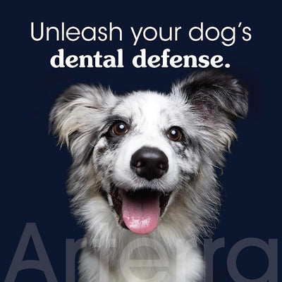 Remineralizing Dog Toothpaste – Vet-Grade, with Nano-Hydroxyapatite, Reverses Early-Stage Decay, Cleans Teeth, Removes Tartar, Freshens Breath by Arterra Pet Science, Plant-Based, Natural Flavor, 3oz