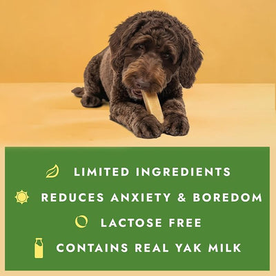 William Hunter Yak Cheese Himalayan Dog Chews - Long Lasting 100% Natural High Protein Dental Dog Chews for Aggressive Chewers (Medium 1 Pack)