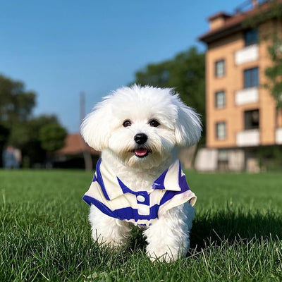 Dog Shirt Polo Shirt Striped Collar Puppy Clothes Summer Button Up Pet Clothes for Small Medium Dogs Cats for Boy Girl Pets (Royal Blue, XXX-Large)