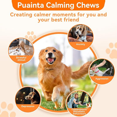 PUAINTA Calming Chews for Dogs, Dog Calming Supplement with Magnesium Glycinate, Melatonin, L-Theanine, L-Tryptophan & Ashwagandha, for Anxiety, Stress, Travel, Separation & Thunderstorms (60 Count)