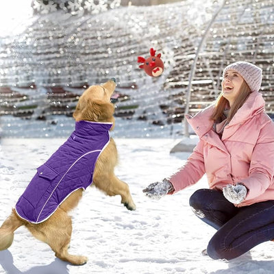 Malier Dog Winter Coat, Windproof Dog Cold Weather Coats with Real Pocket, Winter Extra Warm Pet Coat Fleece Jacket Reflective Clothes for Small Medium Large Dogs and Puppy (Purple, XX-Large)