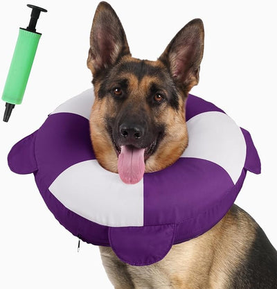 IECOii Inflatable Dog Recovery Collar, Comfortable Cone Alternative | Comfort Beyond the Cone | Pillow-Like Comfort | Full-View Freedom | Lick-Free Healing | Stay-Put Fit | Easy-Clean Design