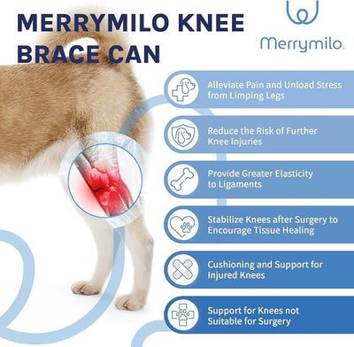 Dog Knee Brace for Torn ACL & Hind Leg Support – Adjustable Dog Hip & Leg Brace for Cruciate Ligament, Arthritis Relief, Joint Stability & Injury Recovery, Color: Silver, Size: 2X-Large