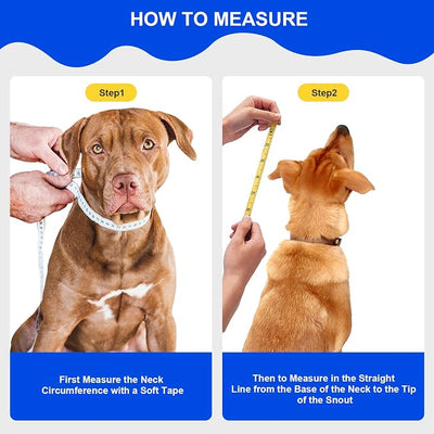 Adjustable Soft Dog Cone Collar for After Surgery Recovery, Comfortable Pet Recovery Protective Collar for Medium Large Dogs, Elizabethan Dog Neck Collar (XL, Black)
