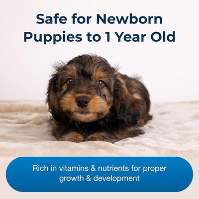 PetAg Esbilac Puppy Milk Replacer Powder - 12 oz, Pack of 3 - Powdered Puppy Formula with Prebiotics, Probiotics & Vitamins for Puppies Newborn to Six Weeks Old - Easy to Digest