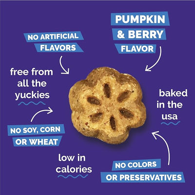 Fruitables Skinny Mini Dog Treats, Healthy Pumpkin Treat for Dogs, Low Calorie & Delicious, Puppy Training, No Wheat, Corn or Soy, Made in the USA, Pumpkin & Berry Flavor, 20oz