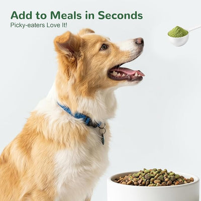 Dog Dental Powder, Dental Powder for Dogs Teeth Cleaning and Breath Fresh, Dog Dental Care with Natural Enzymes, Probiotics, Tartar Remover and Plaque Off - 80g