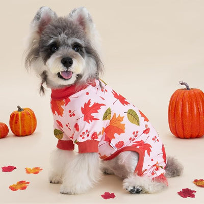 XPUDAC 4 Pack Thanksgiving Turkey Dog Pajamas Soft Strechy Puppy Onesies Funny Pet Fall Clothes for Small Medium Dogs Boy Girl Cat Doggy Costume