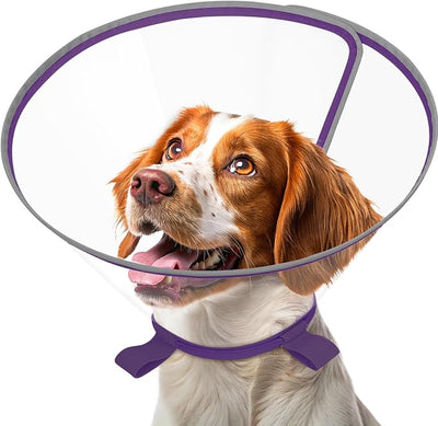 Clear Dog Cone for Medium Dogs After Surgery, Adjustable E-Collar to Stop Licking with Padded Neck for Brittany, Soft Recovery Collar with Reflective Trim for Night Visibility, Purple S/M