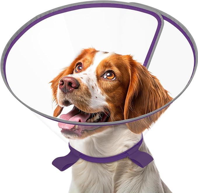 Clear Dog Cone for Medium Dogs After Surgery, Adjustable E-Collar to Stop Licking with Padded Neck for Brittany, Soft Recovery Collar with Reflective Trim for Night Visibility, Purple S/M