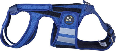 Coodeo Dog Back Brace for Dogs Arthritis, Pet Back Bracer for IVDD, Back Protector Helps Pain Relief, Surgical Recovery and Rehabilitation, Dogs Back Disease Prevention. (Blue,Small)