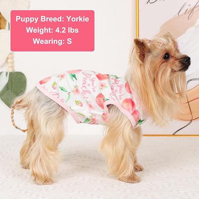 Dog Shirt Vest Dog Clothes for Small Dogs Boy Girl Stretchy Summer Puppy T-Shirts Soft Breathable Lightweight Puppy Sweatshirt Pet Cat Outfit (Peach, Medium)