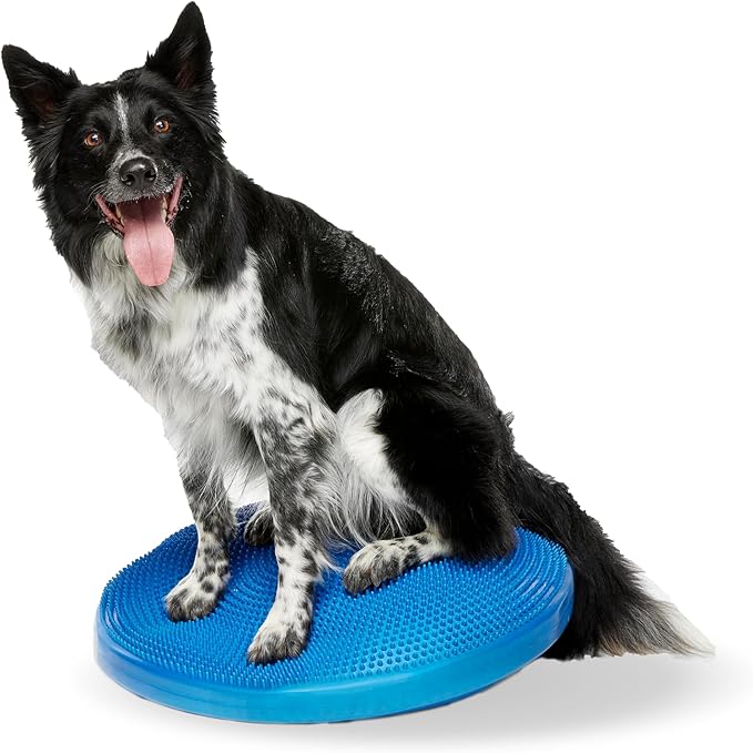 Dog Balance Disc – 22”, Blue | Dog Exercise Equipment | Workout Tool for Strength, Core, Stability & Rehabilitation