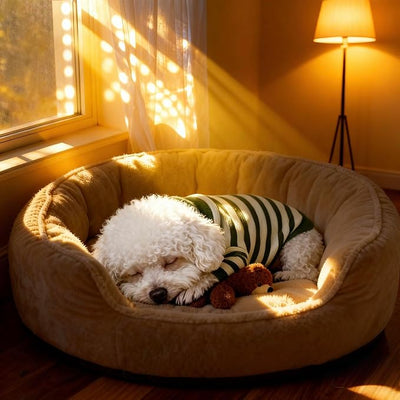 Small Dog Sweater, Knitted Striped Pullover Dog Clothes, Indoor Cozy Stretchy Pajamas for Chihuahua, Bulldog, Dachshund, Pug(Green&White Strip, M)