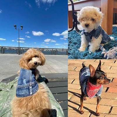 Jean Jacket, Blue Denim Lapel Vest Coat Costume, Dog & Cat T-Shirt Clothes, Cool & Funny Apparel Outfits, Machine Washable for Small & Medium Dogs & Cats (L)