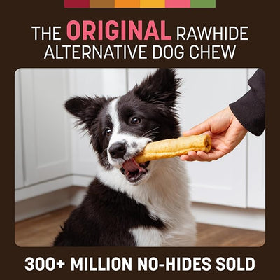 Earth Animal No Hide Chews - Long Lasting Rawhide Free Medium Dog Chews Rolls, Salmon - 2 Count