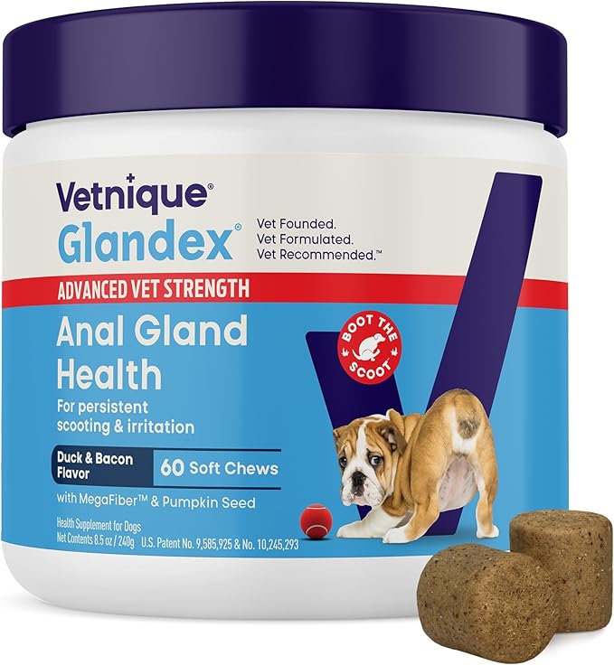 Glandex Anal Gland Soft Chew Treats with Pumpkin for Dogs Digestive Enzymes, Probiotics Fiber Supplement for Dogs Boot The Scoot (Advanced Strength Duck/Bacon, 60 Ct)