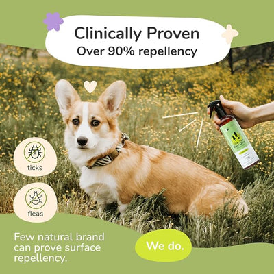 Flea & Tick Spray and Shampoo Kit for Dogs & Cats