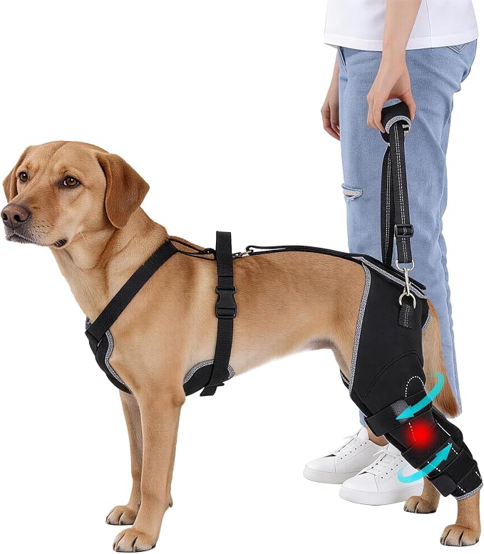 Dog Rear Leg Brace for ACL/CCL Injury, Hinged Hind Leg Support Harness for Weak Back Legs, Torn ACL, Post-Surgery Recovery, Stairs, Car & Walking Assistance(L)