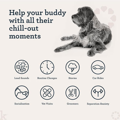 Kradle Bliss Bars for Dogs - Peanut Butter Flavored Calming - GABA L-Theanine - On The Go Packaging - Supports a Calm Demeanor - 6 Bars