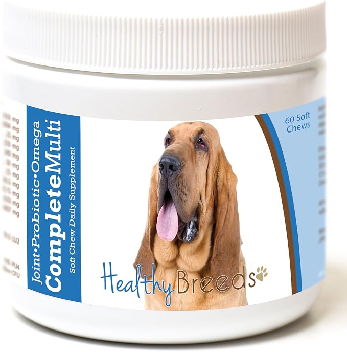 Bloodhound All in One Multivitamin Soft Chew 60 Count