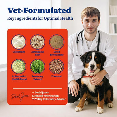 Dog Allergy Relief Chews – 70 Soft Chews, Turkey & Pumpkin Flavor - Immune Support & Itch Relief with Colostrum, Astragalus Root, 6-Strain Gut Health Blend