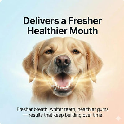Dental Powder for Dogs, No Brushing Needed, Easy Mix Daily Use for Daily Dog Dental Care (1Pc)