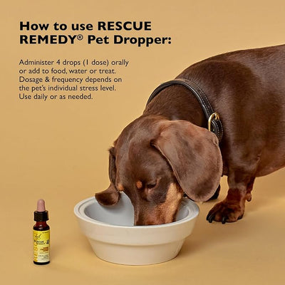 RESCUE Remedy Pet Dropper - 10mL, Pack of 2 - Stress & Tension Support for Dogs & Cats with Bach Natural Flower Essences - Sedative-Free, Homeopathic Liquid Formula - for All Breeds, Ages & Weights