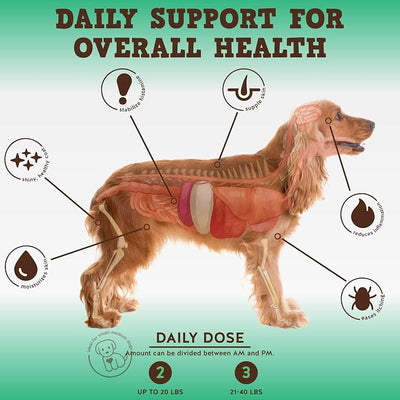Jack&Pup Dog Allergy Chews - Bark Buddies Aller-Care Soft Chew Bites Itch Relief for Dogs & Allergy Support for Dogs - Dog Immune Supplement, Dog Skin Allergies Treatment and Anti Itch for Dogs 60ct