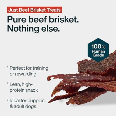 JustFoodForDogs Single Ingredient Healthy Dog Treats and Dog Snacks, Jerky Treats, Human Grade, Preservative and Grain Free, Rawhide Free Chews, Low Calorie Treat - Beef Brisket, 5 oz