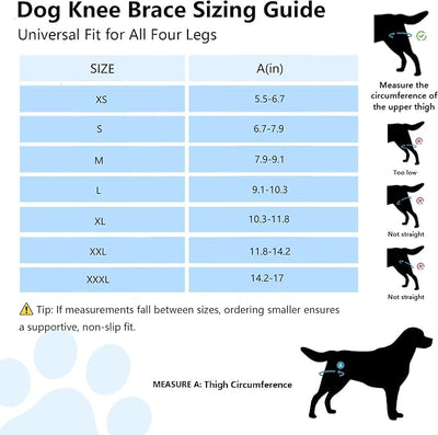 Dog Knee Brace for Torn ACL/CCL & Hind Leg Support - Adjustable Brace for Arthritis Relief, Joint Stability & Injury Recovery - Fits Small & Medium Dogs (XXXL)