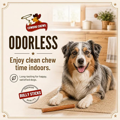 Cowdog Chews Beef Bully Stick: Odor-Free, Fully Digestible Beef Collagen Chews (5-7", 5 Count) - Natural, Grain-Free, Long-Lasting Collagen Bully Stick Substitute for All Dog Breeds