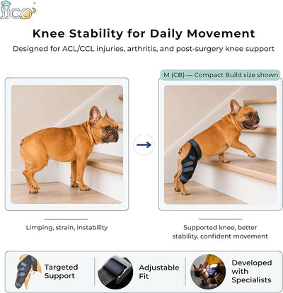Dog Knee Brace for Hind Leg Support - Right Leg, CCL ACL Brace for Dogs, Vet Approved, Adjustable Orthopedic Support for Arthritis, Ligament Injuries & Post-TPLO Surgery Recovery (X Large)